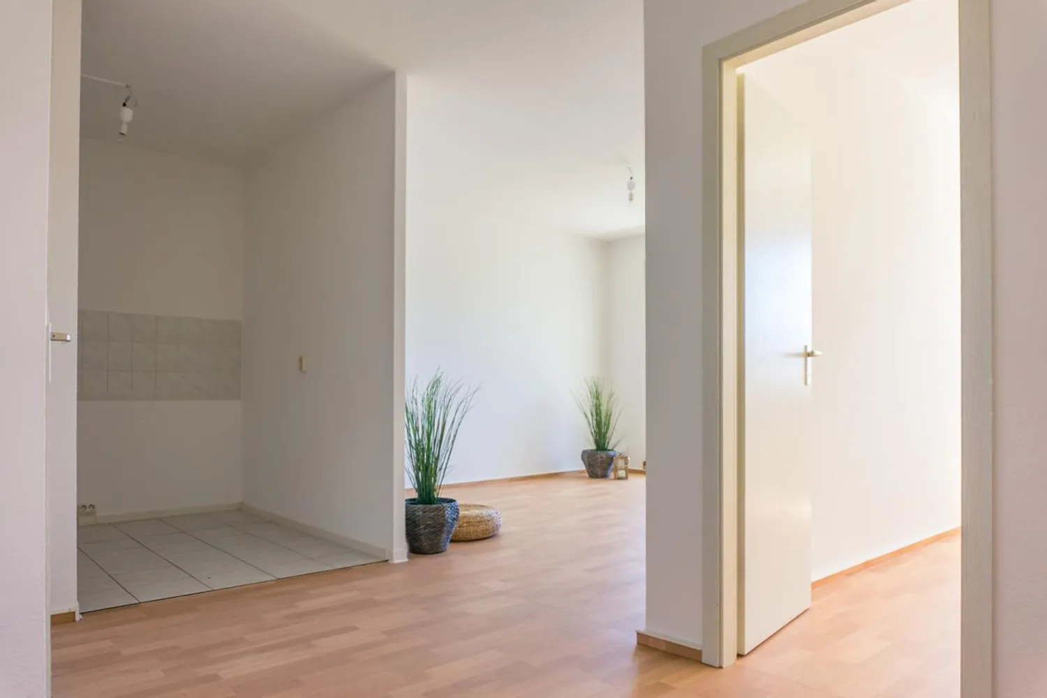 3 room apartment with 56 m² in Chemnitz – Photo 1
