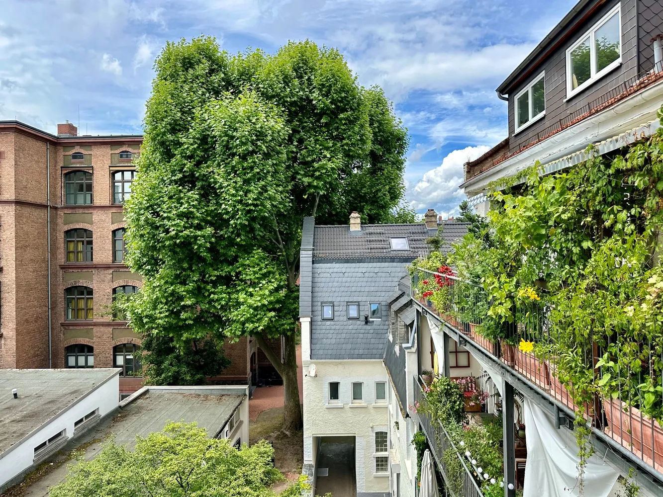 2 room apartment with 50 m² in Frankfurt am Main – Photo 2
