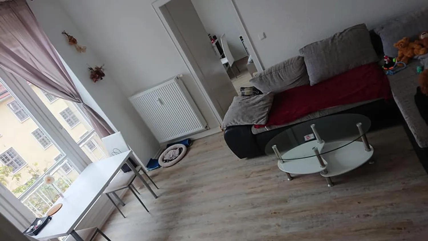 2 Zimmer Wohnung mit 520 m² in Dresden – Bild 5