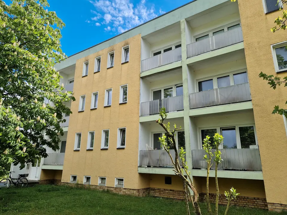 Studio mit 32 m² in Lutherstadt Wittenberg – Bild 3