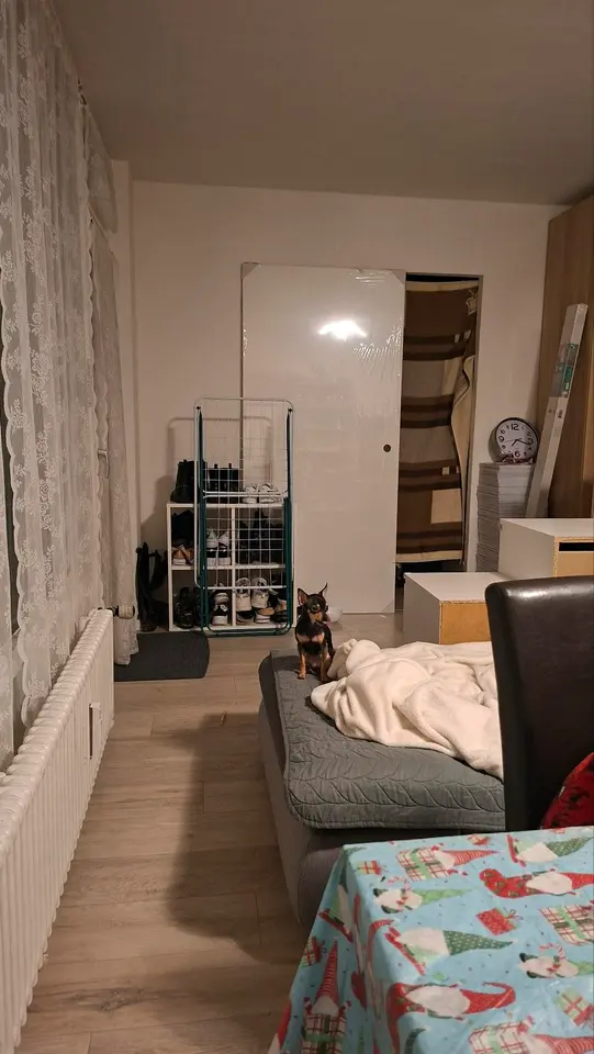 2 Zimmer Wohnung mit 45 m² in Augsburg – Bild 3