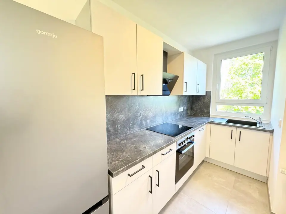 2 room apartment with 55 m² in Chemnitz – Photo 3