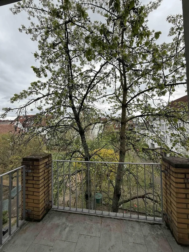 3 Zimmer Wohnung mit 70 m² in Darmstadt – Bild 11