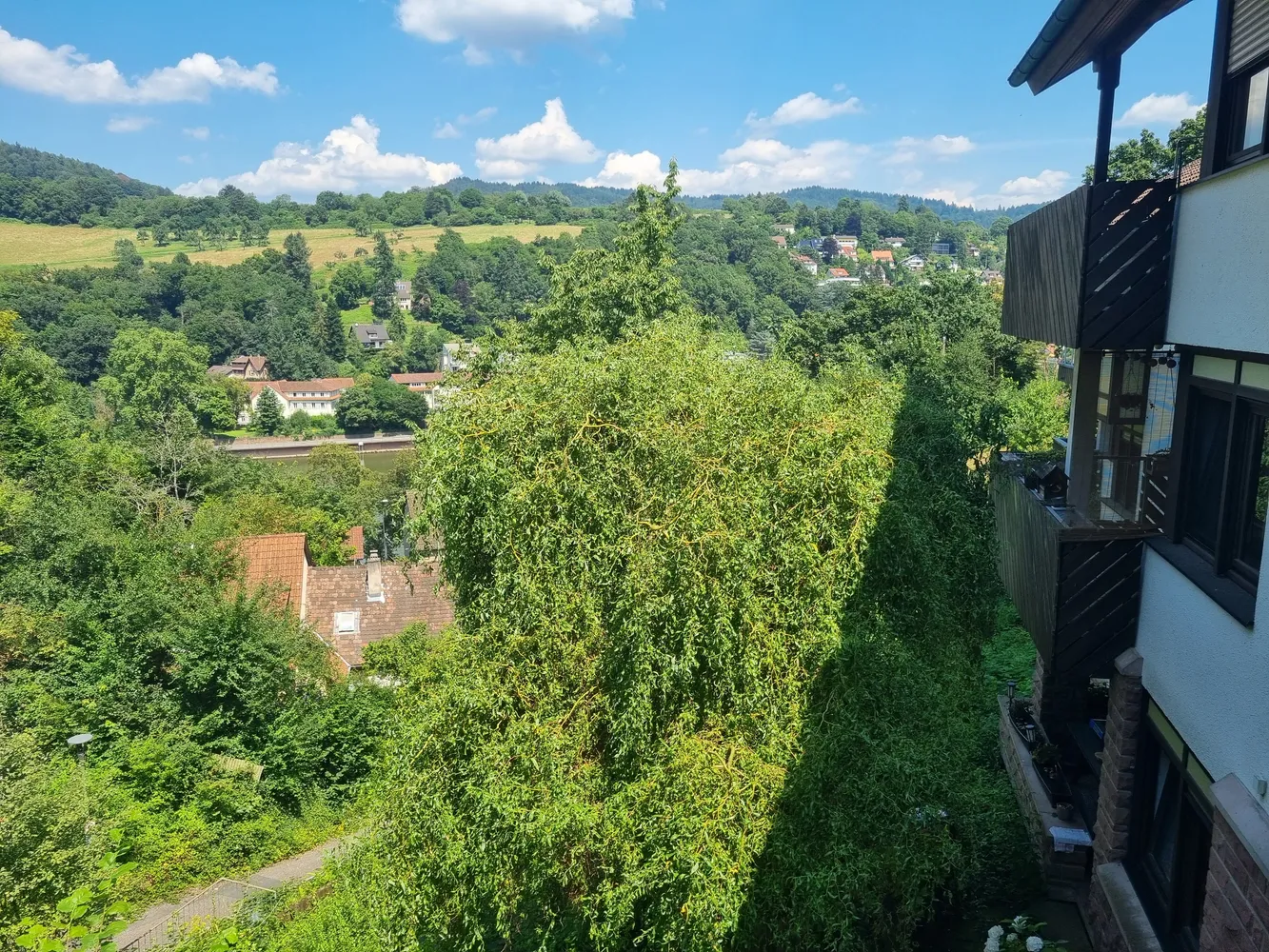2 Zimmer Wohnung mit 68 m² in Heidelberg – Bild 1