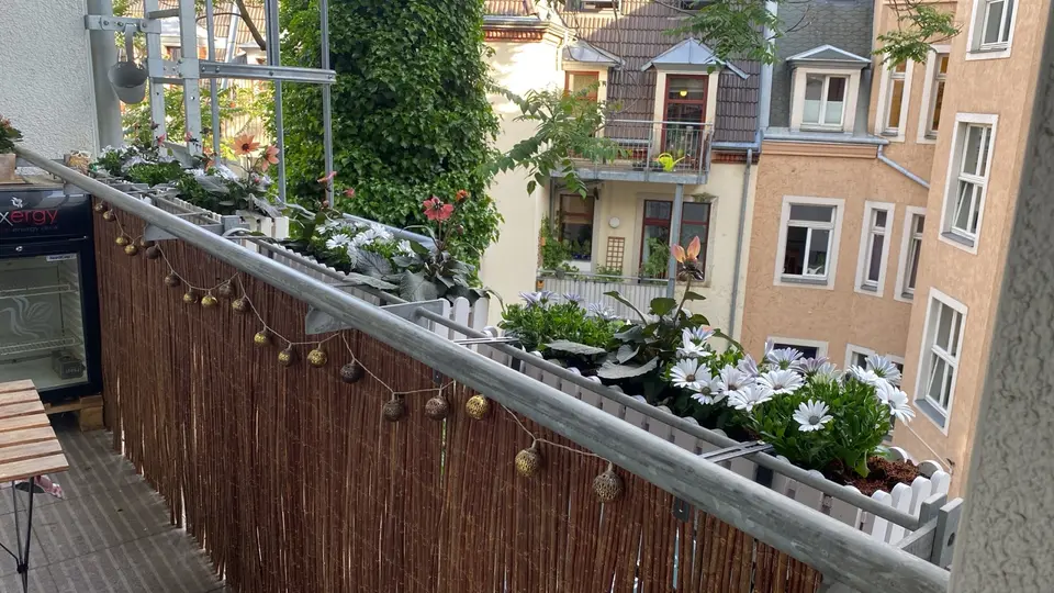 2 Zimmer Wohnung mit 73 m² in Dresden – Bild 9