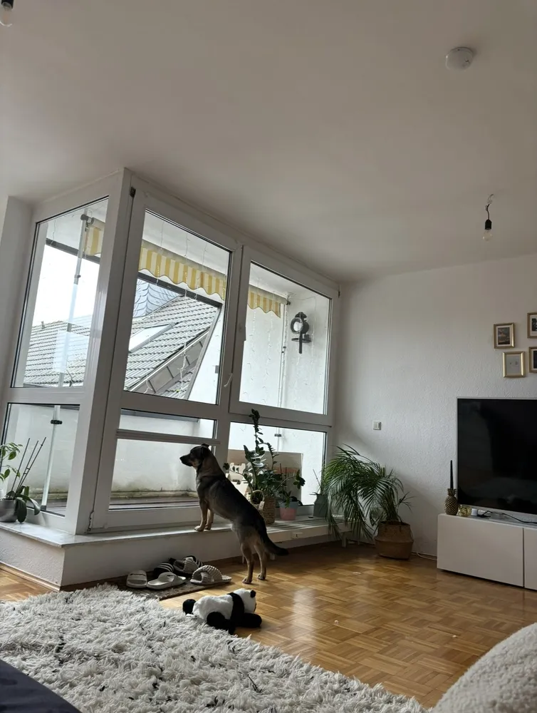 2 Zimmer Wohnung mit 65 m² in Leverkusen – Bild 8