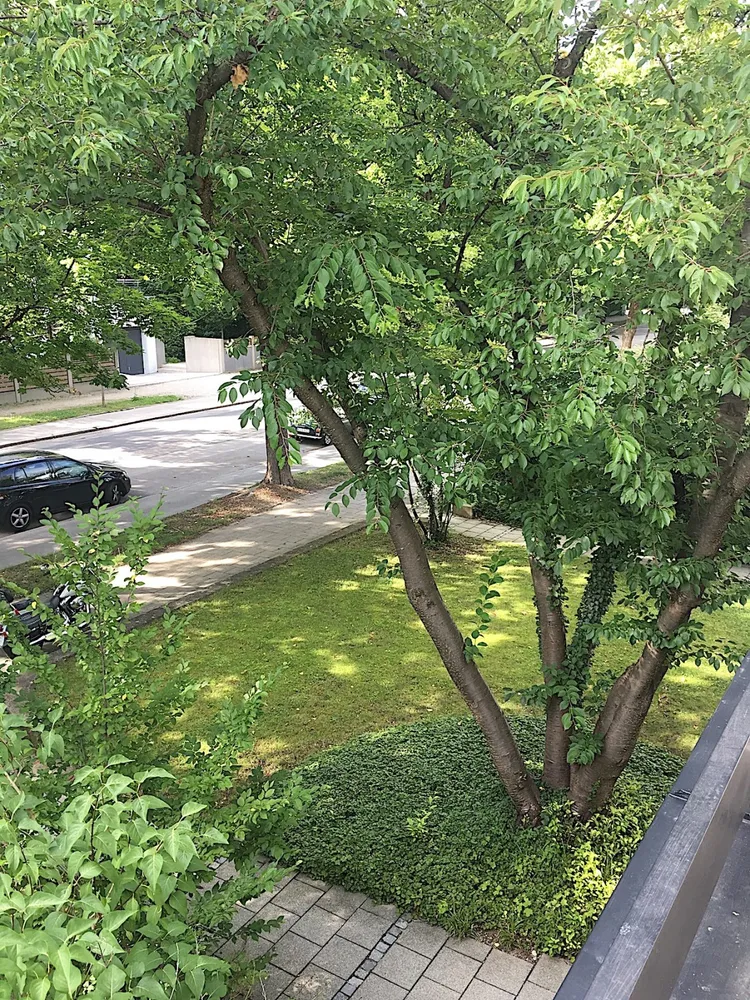 4 Zimmer Wohnung mit 174 m² in München – Bild 2
