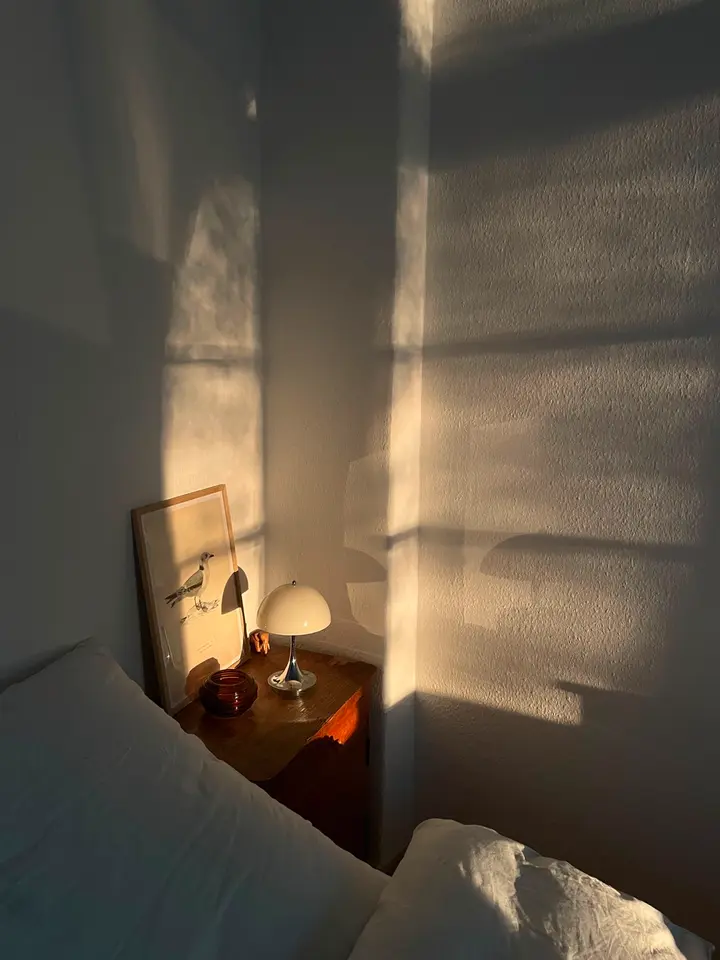 WG-Zimmer mit 18 m² in Dresden – Bild 3