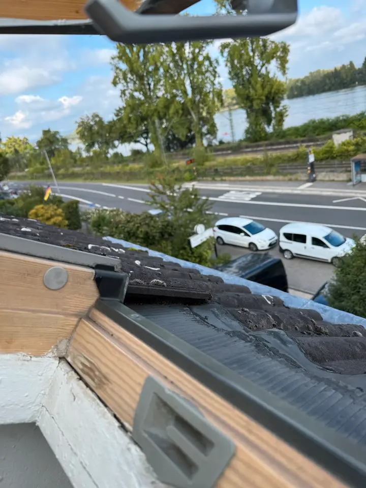 WG-Zimmer mit 11 m² in Mainz – Bild 3