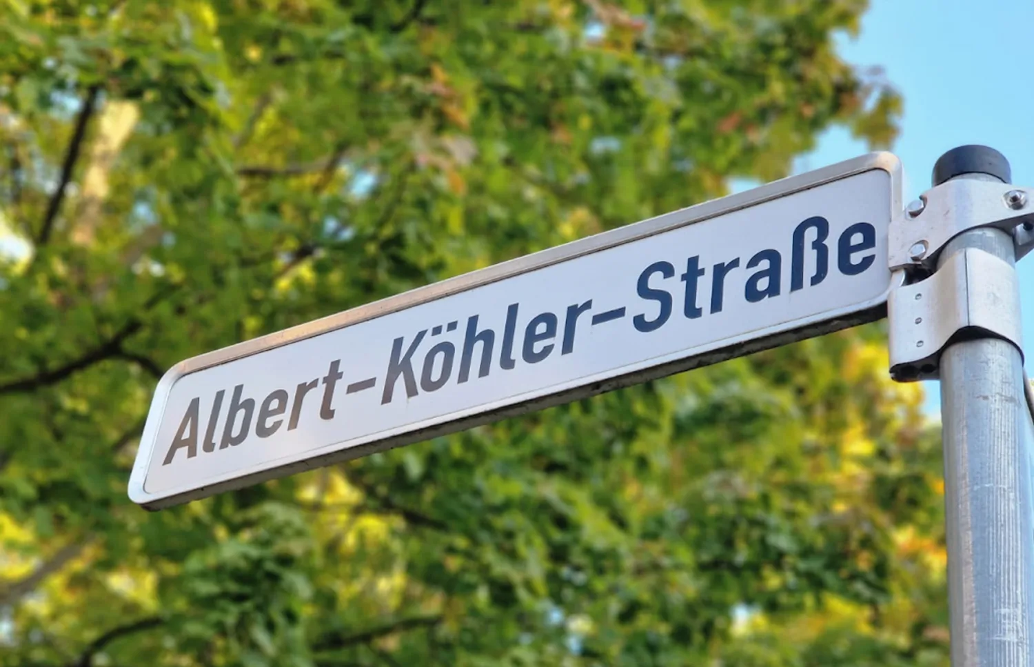 3 Zimmer Wohnung mit 56 m² in Chemnitz – Bild 3