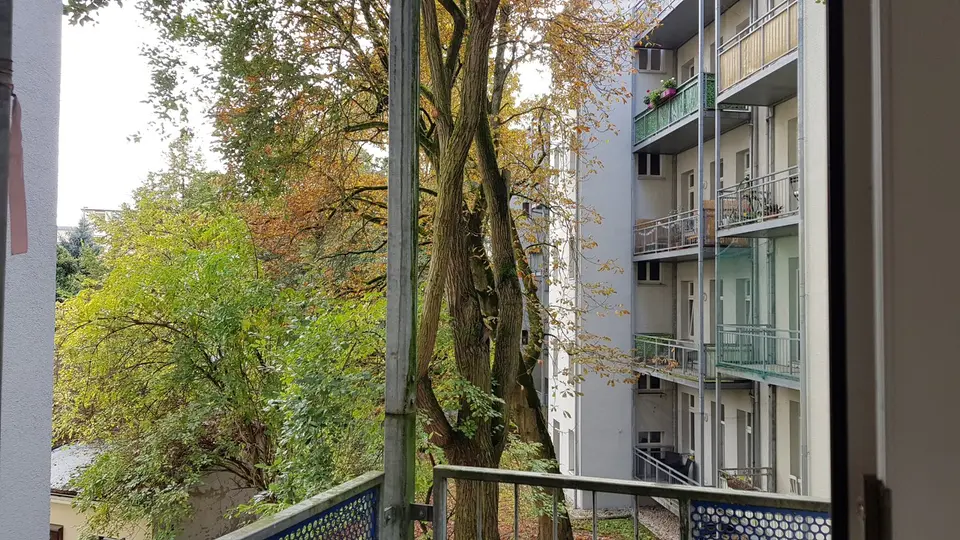2 room apartment with 46 m² in Chemnitz – Photo 4