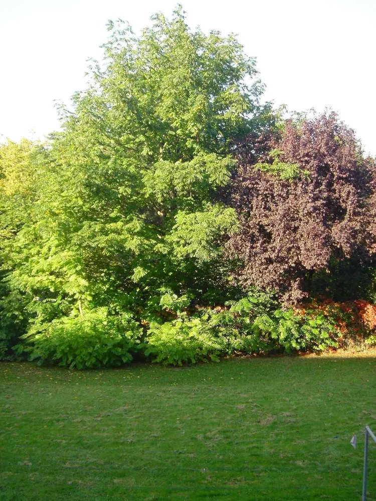 2 Zimmer Wohnung mit 57 m² in Köln – Bild 4