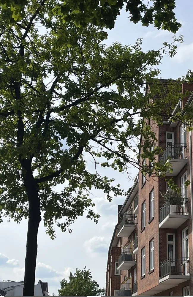 3 Zimmer Wohnung mit 67 m² in Hamburg – Bild 1