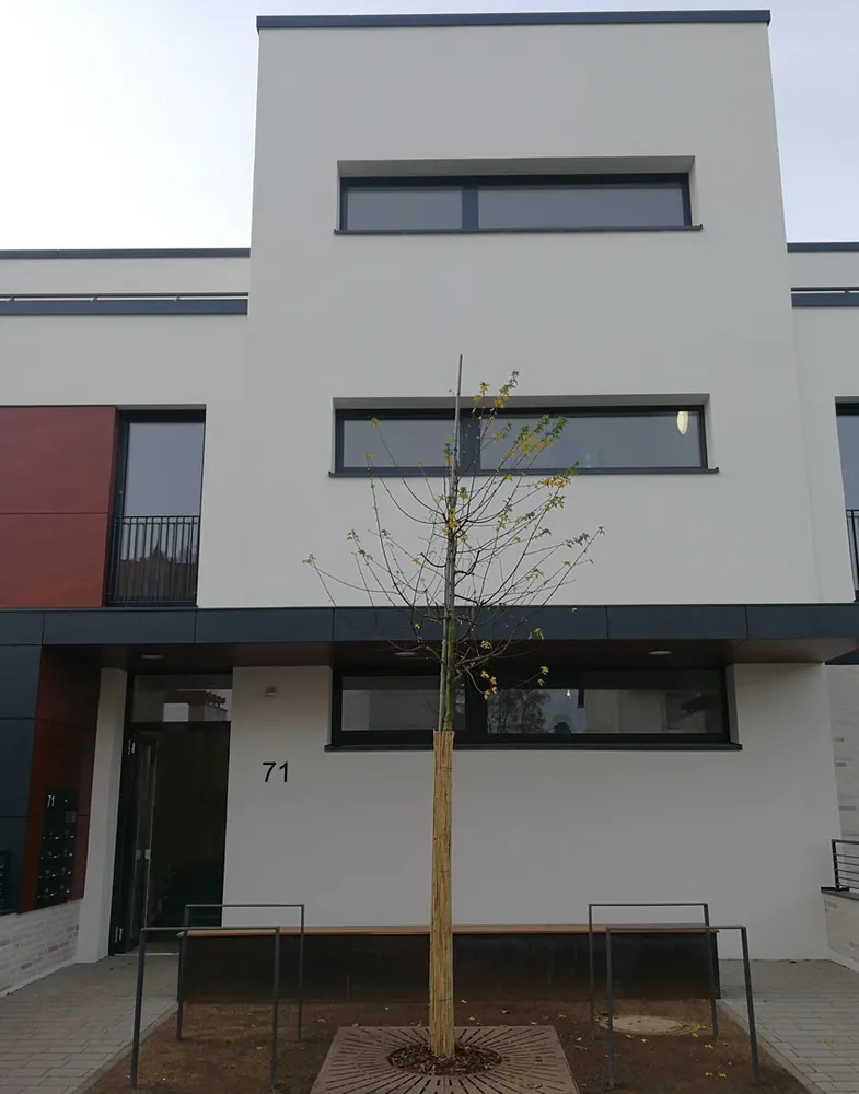 2 Zimmer Wohnung mit 64 m² in Darmstadt – Bild 2