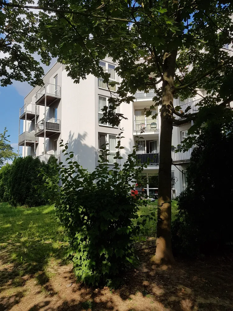 1 room apartment with 34 m² in Bonn – Photo 2