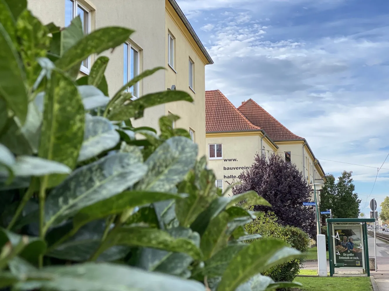 2 Zimmer Wohnung mit 48 m² in Halle (Saale) – Bild 3