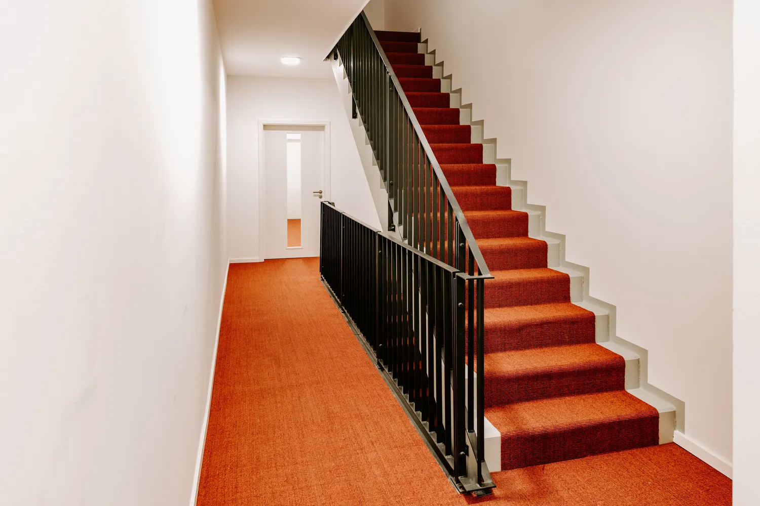 2 Zimmer Wohnung mit 50 m² in Magdeburg – Bild 3