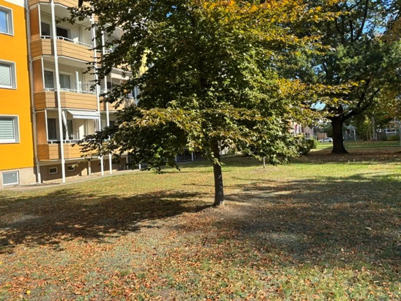 3 Zimmer Wohnung mit 66 m² in Magdeburg – Bild 5