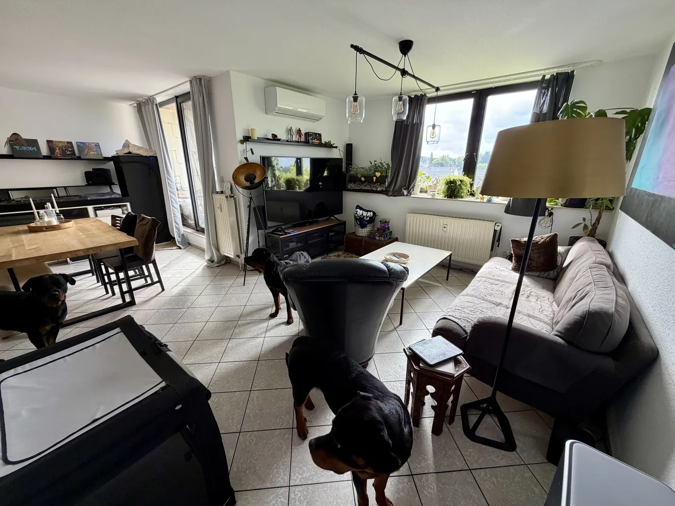 4 Zimmer Wohnung mit 100 m² in Gelsenkirchen – Bild 12