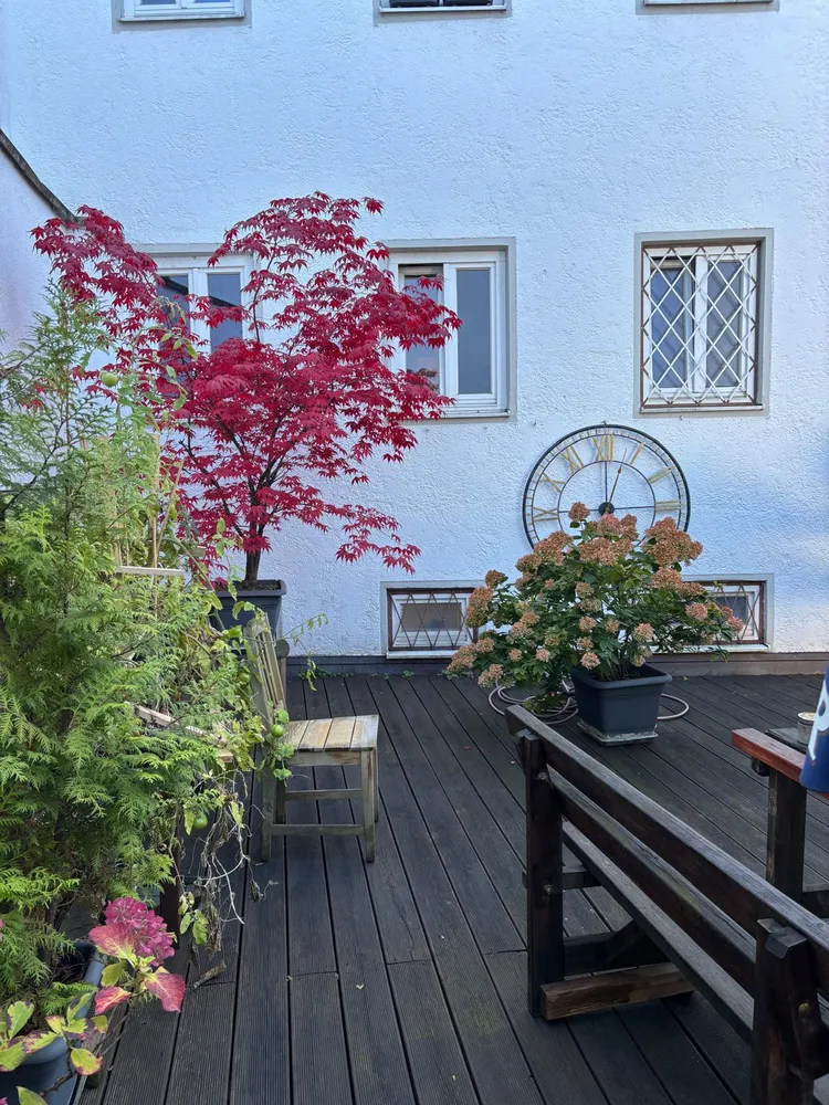 3 room apartment with 60 m² in Munich – Photo 8