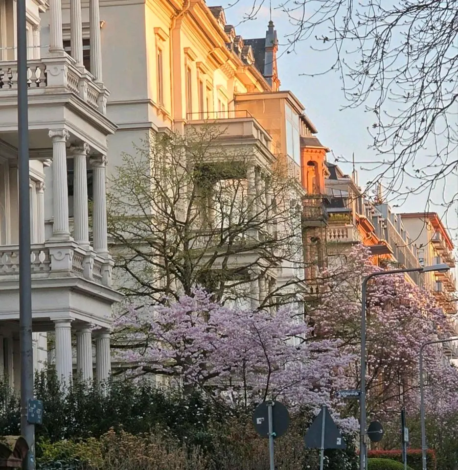 3 Zimmer Wohnung mit 91 m² in Wiesbaden – Bild 7