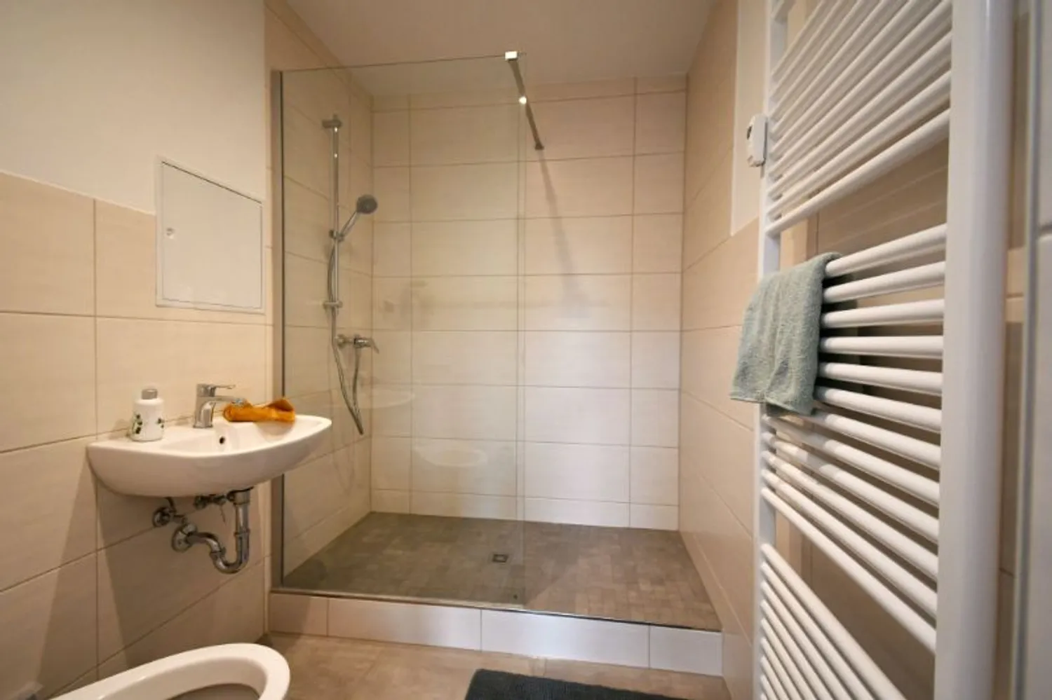 2 room apartment with 48 m² in Riesa – Photo 2