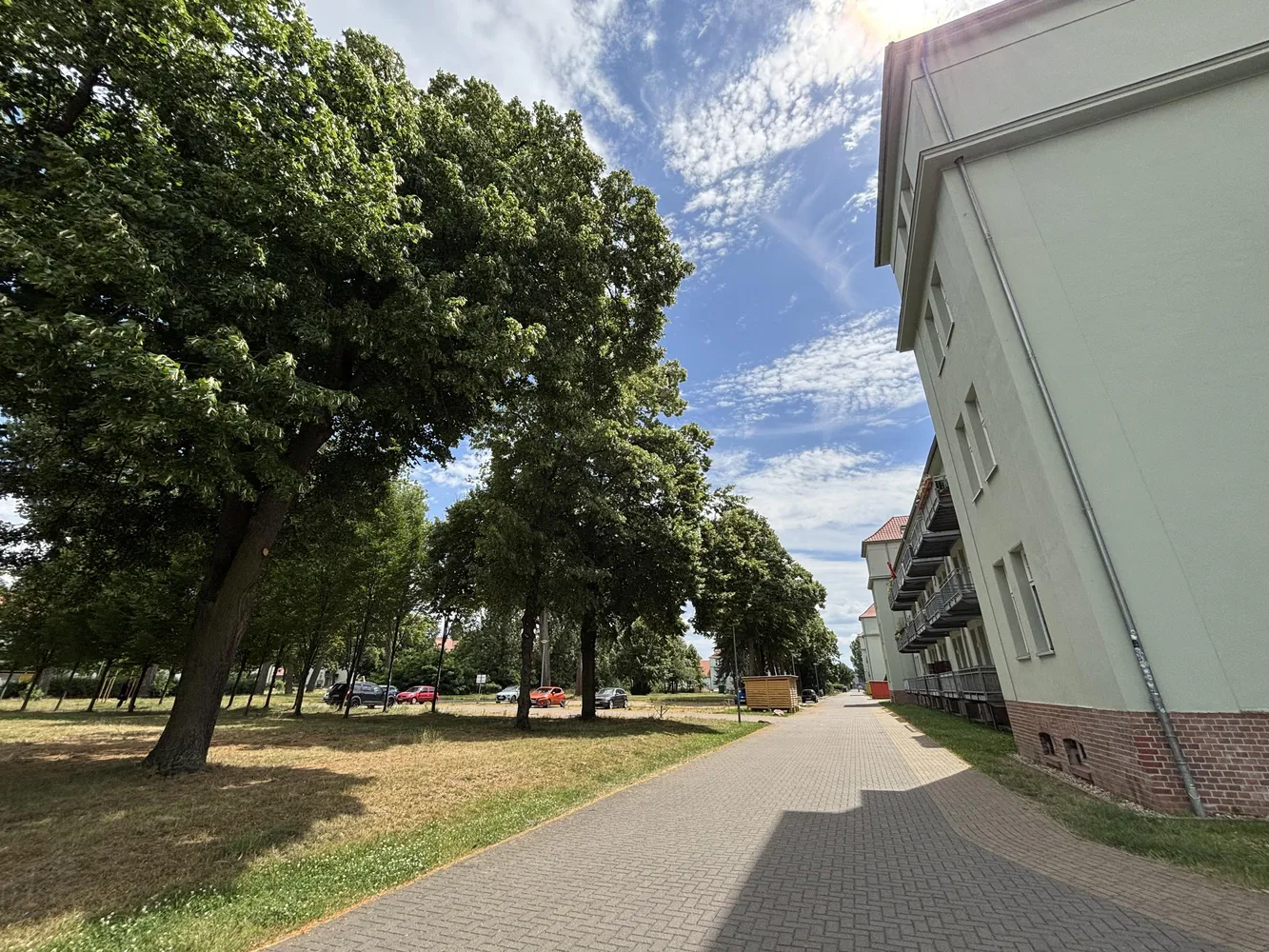 1 room apartment with 47 m² in Magdeburg – Photo 3