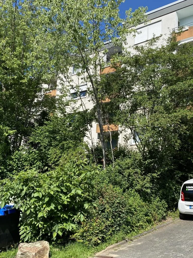3 Zimmer Wohnung mit 75 m² in Siegen – Bild 6