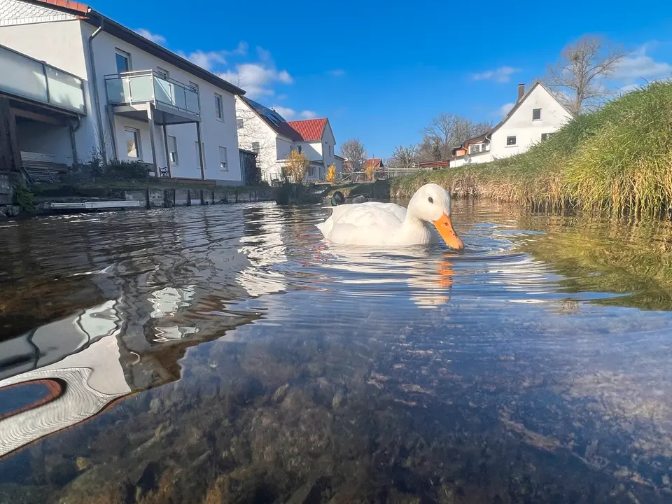 4 Zimmer Wohnung mit 150 m² in Osterode am Harz – Bild 6