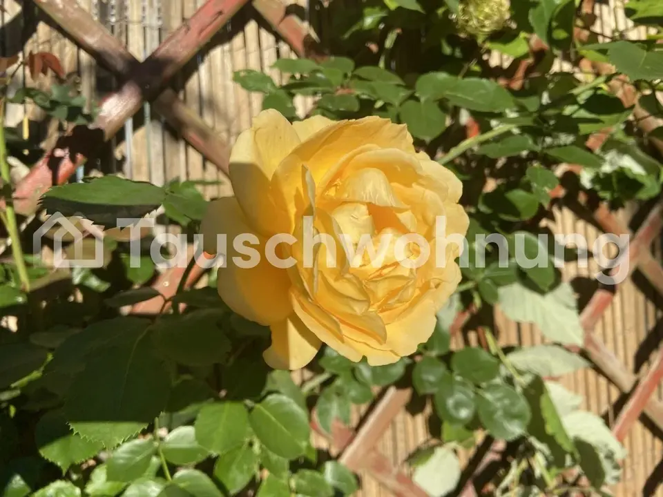 6 Zimmer Haus mit 140 m² in Dresden – Bild 7