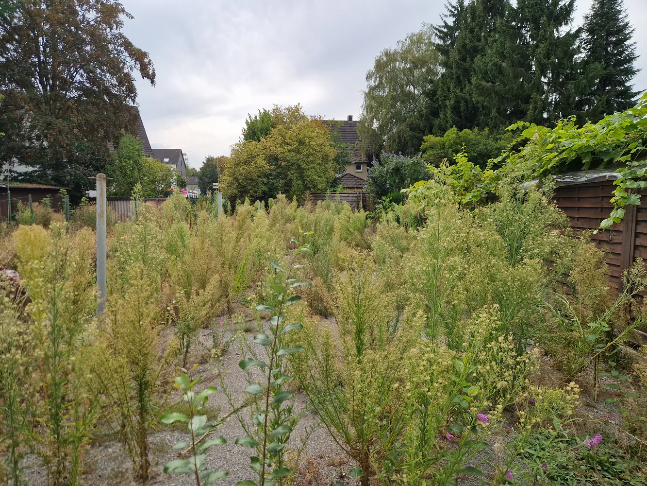 4 Zimmer Wohnung mit 79 m² in Dortmund – Bild 6