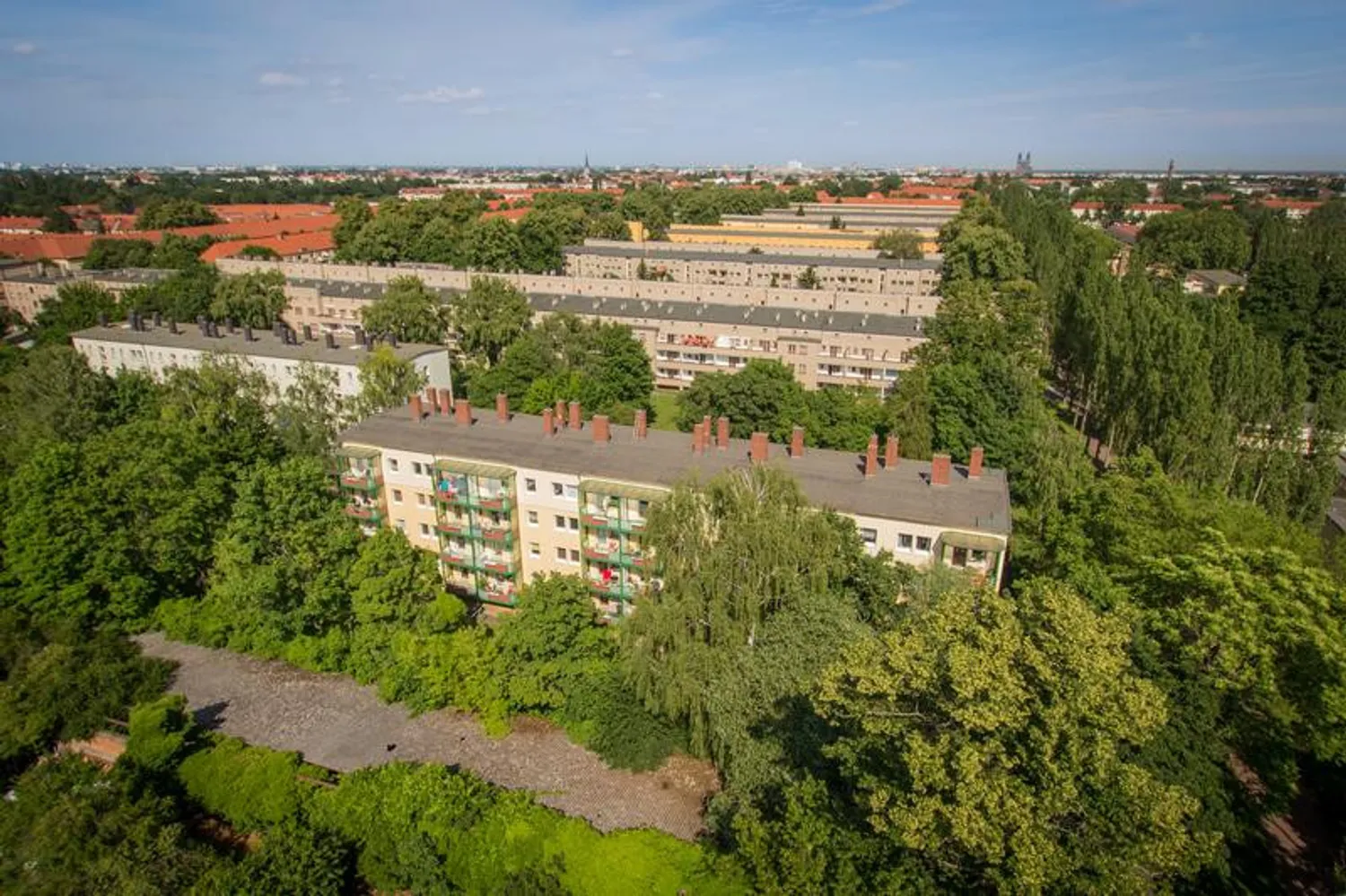 3 room apartment with 61 m² in Magdeburg – Photo 1