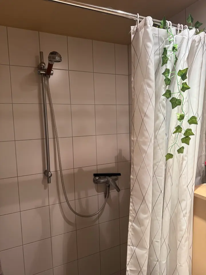 2 Zimmer Wohnung mit 24 m² in Dresden – Bild 6