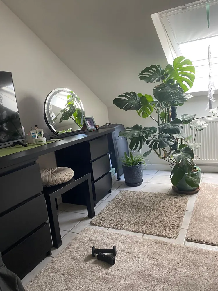 3 Zimmer Wohnung mit 52 m² in Leverkusen – Bild 12