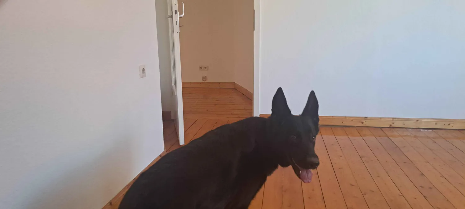 3 Zimmer Wohnung mit 75 m² in Hannover – Bild 2