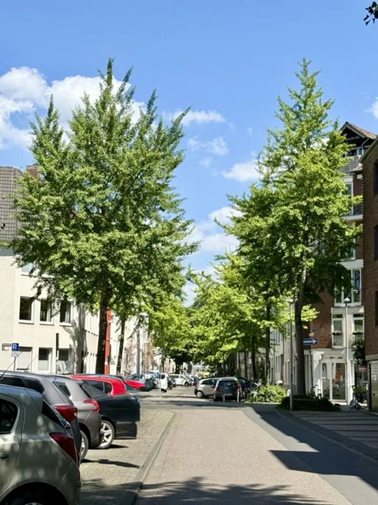 2 Zimmer Wohnung mit 45 m² in Köln – Bild 10