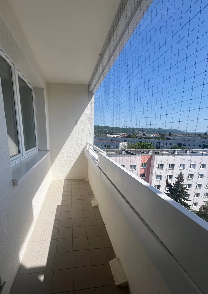 3 Zimmer Wohnung mit 80 m² in Dresden – Bild 3
