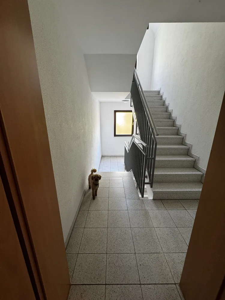 2 Zimmer Wohnung mit 86 m² in Mannheim – Bild 6