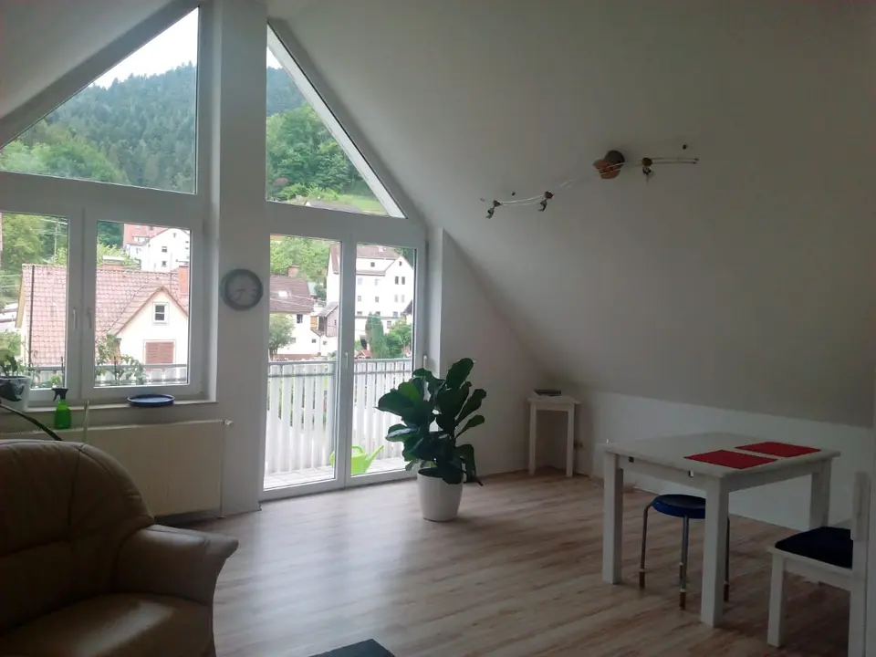 3 Zimmer Wohnung mit 55 m² in Singen – Bild 1