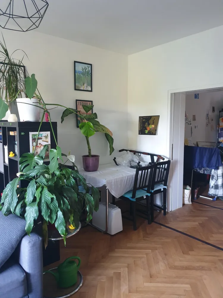 3 room apartment with 78 m² in Bonn – Photo 3