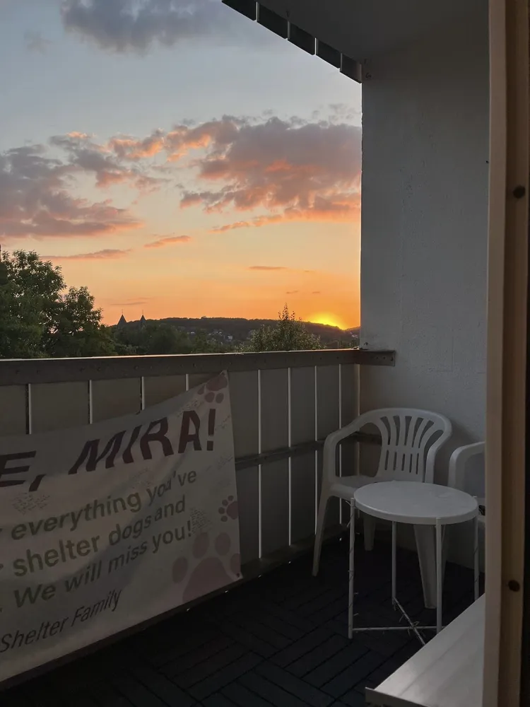 2 Zimmer Wohnung mit 44 m² in Wuppertal – Bild 10