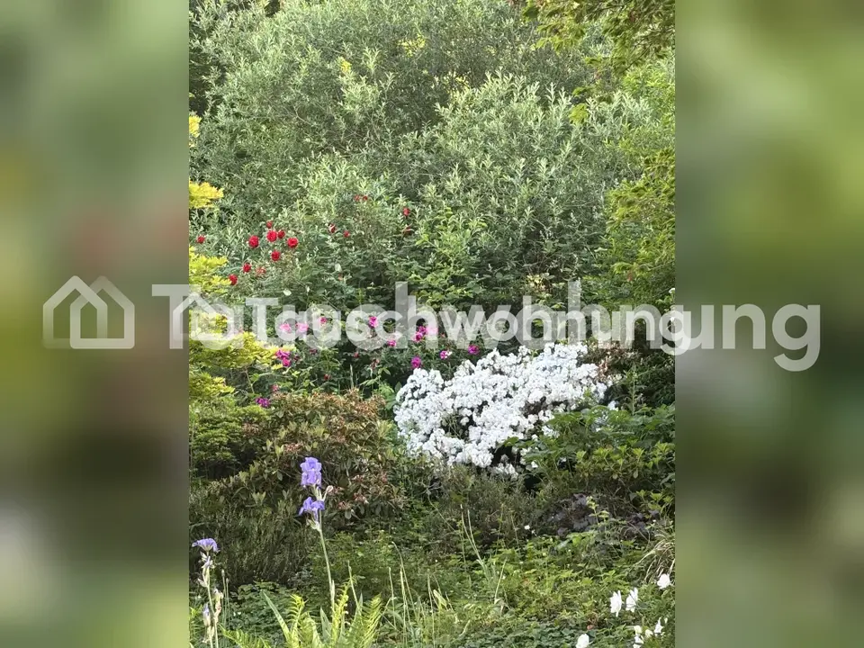3 Zimmer Wohnung mit 58 m² in Emmendingen – Bild 6