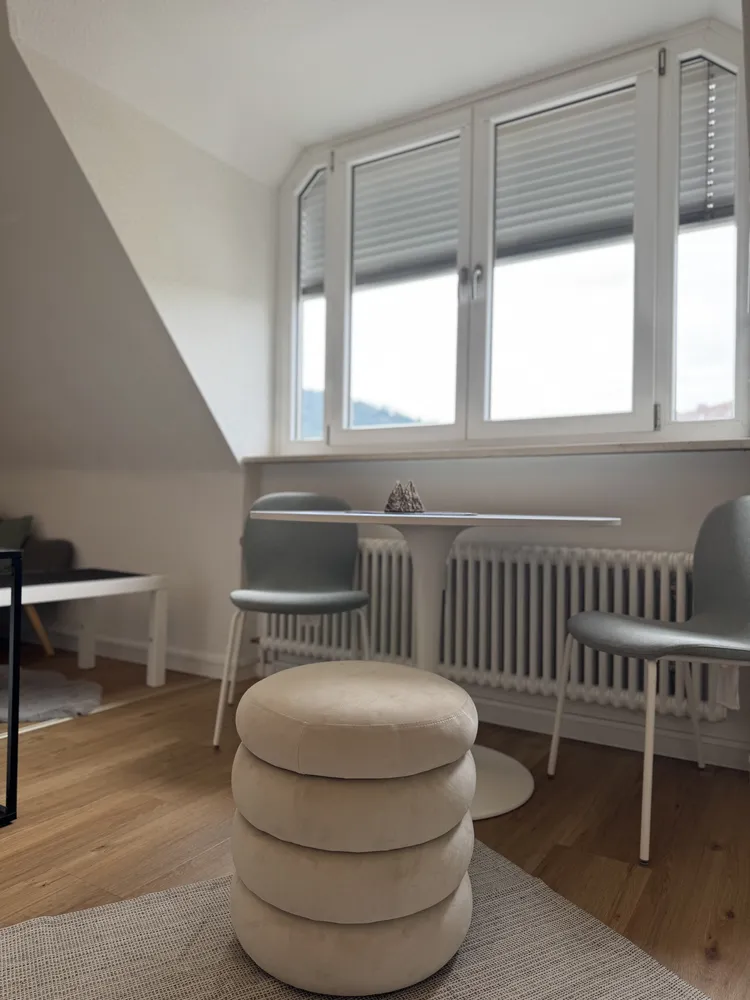 1 Zimmer Wohnung mit 27 m² in Freiburg im Breisgau – Bild 3