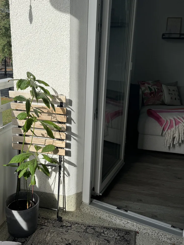 2 room apartment with 54 m² in Brunswick – Photo 9