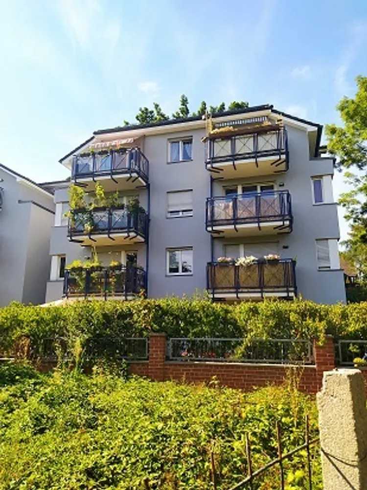 2 room apartment with 47 m² in Dresden – Photo 4