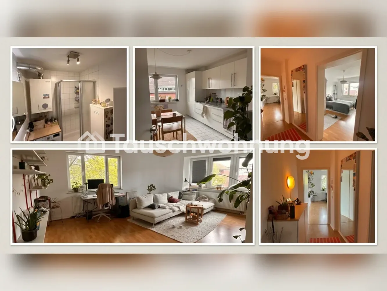 2 room apartment with 70 m² in Münster – Photo 4