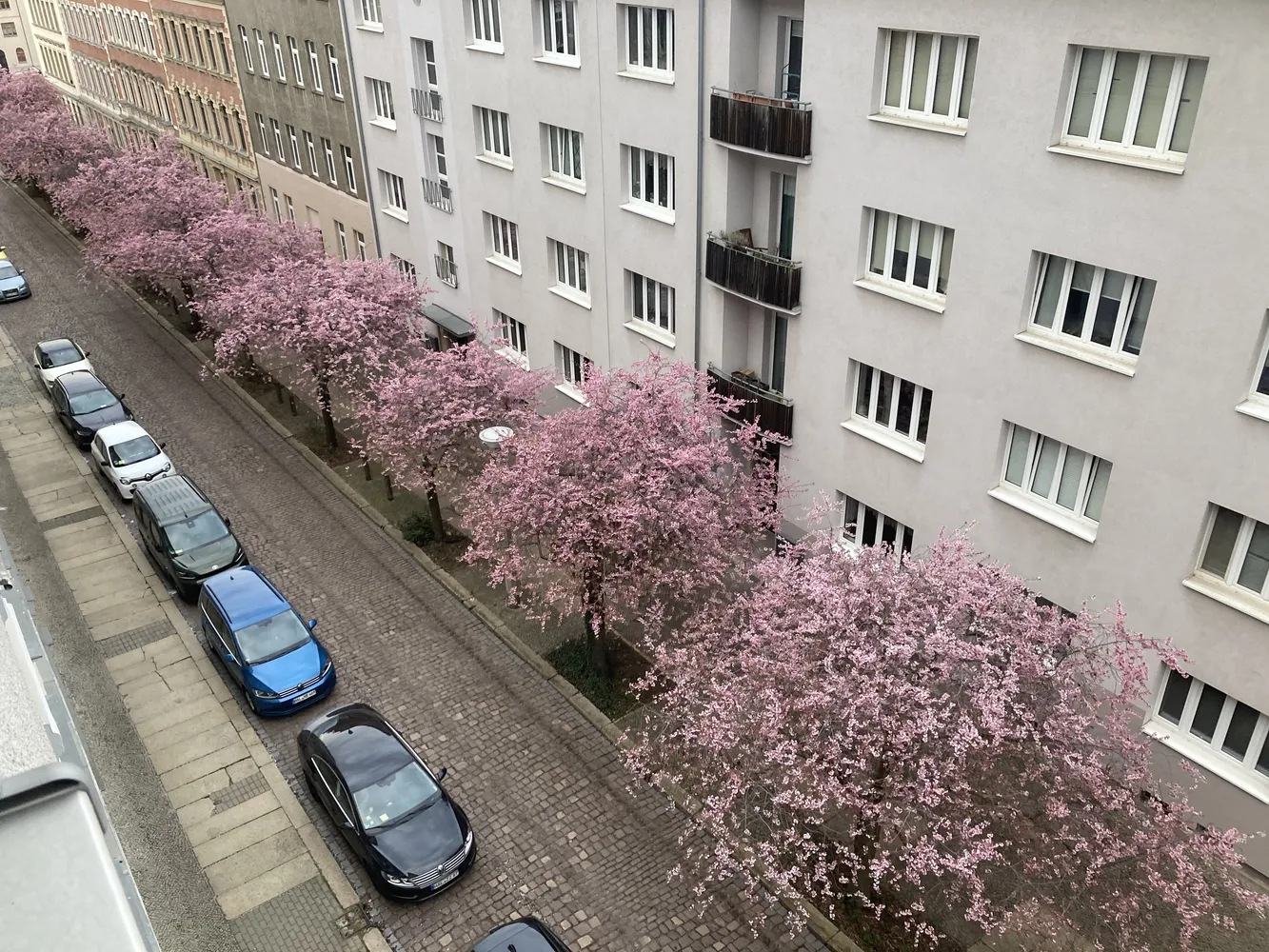 2 Zimmer Wohnung mit 54 m² in Halle (Saale) – Bild 3