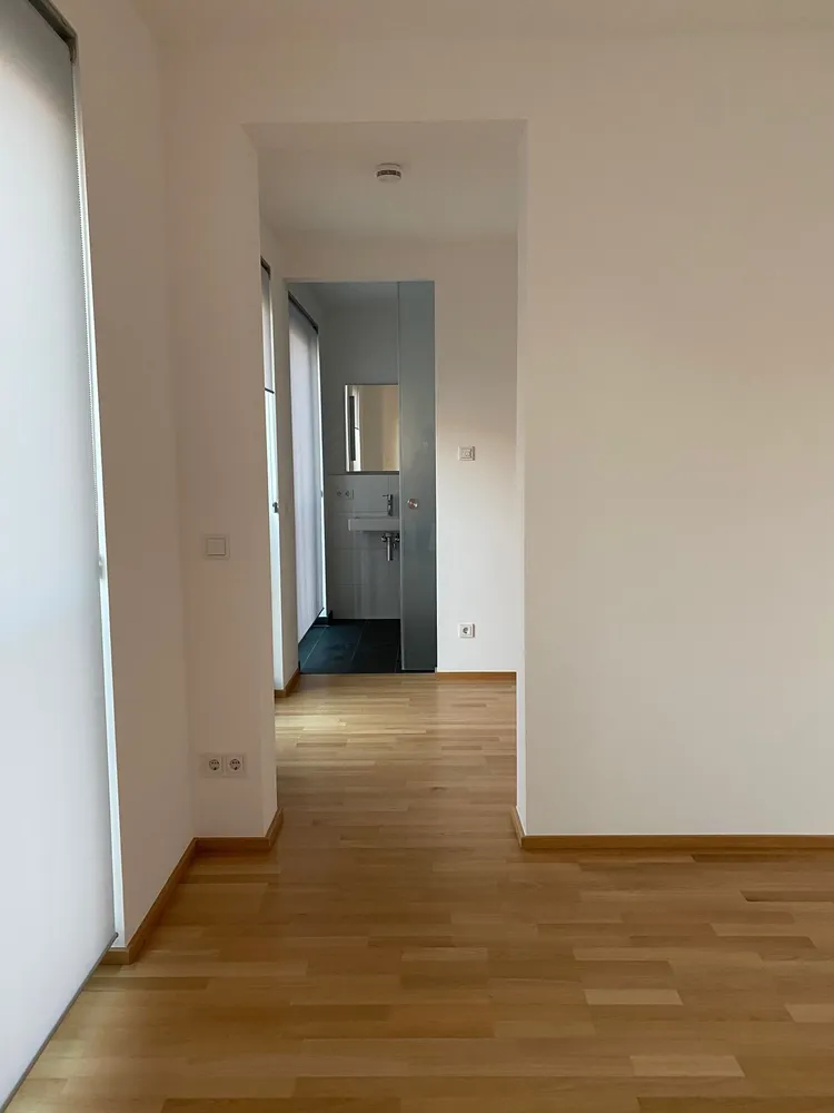 4 Zimmer Wohnung mit 151 m² in Dresden – Bild 4