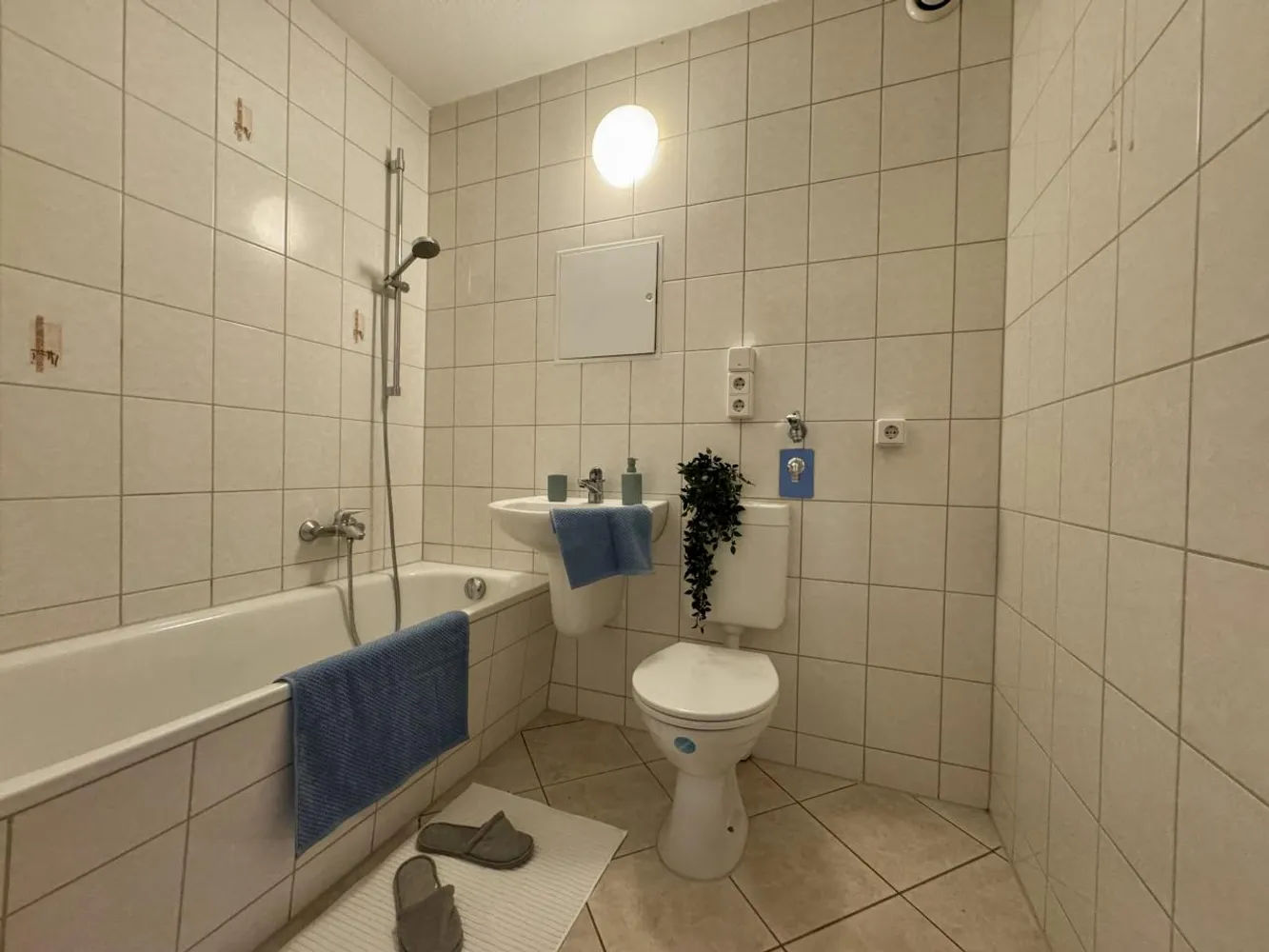 3 room apartment with 70 m² in Chemnitz – Photo 2