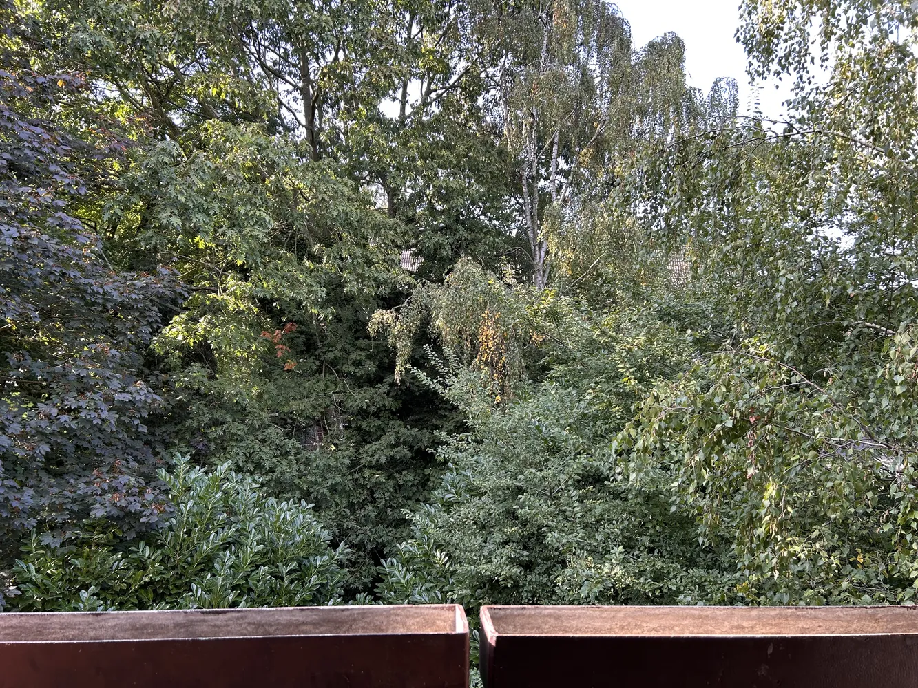 3 Zimmer Wohnung mit 76 m² in Krefeld – Bild 4
